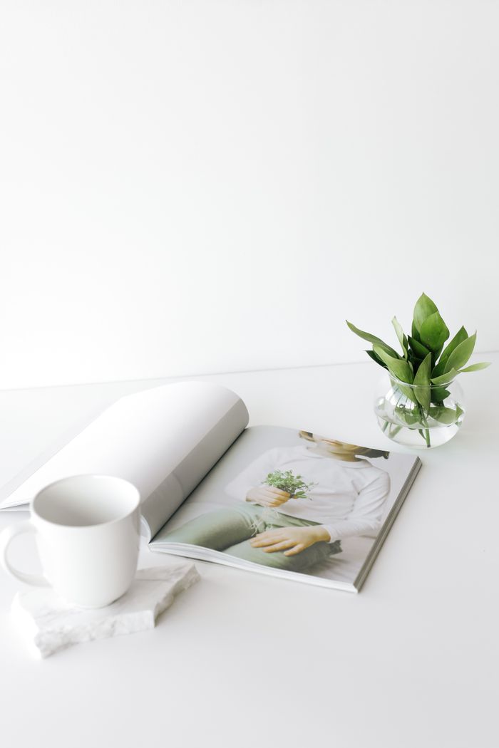 High angle composition of opened magazine placed on white table near white cup and vase with green plant leaves